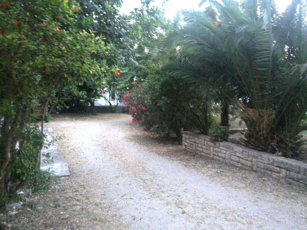 Apartment Tome Biograd Na Moru Oda fotoğraf