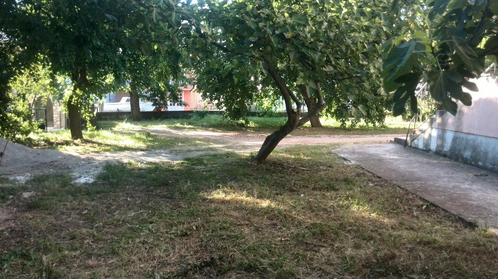 Apartment Tome Biograd Na Moru Dış mekan fotoğraf