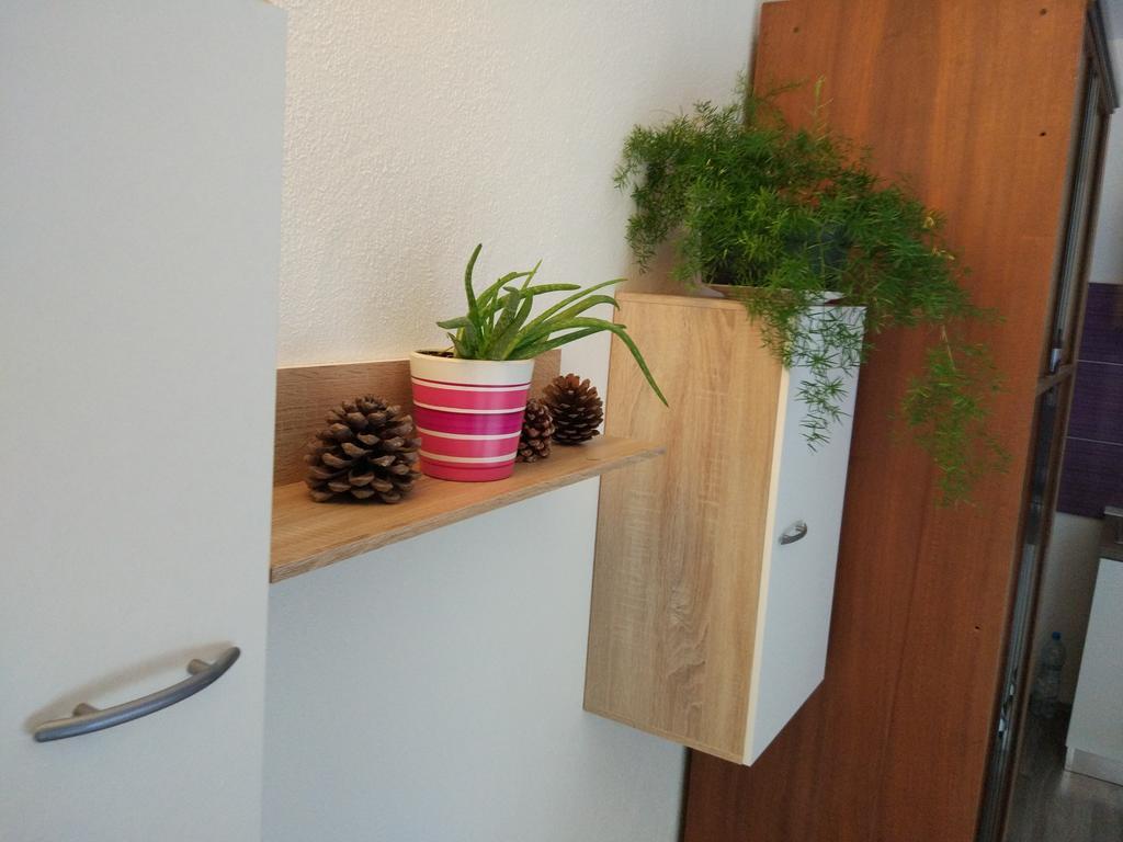 Apartment Tome Biograd Na Moru Dış mekan fotoğraf
