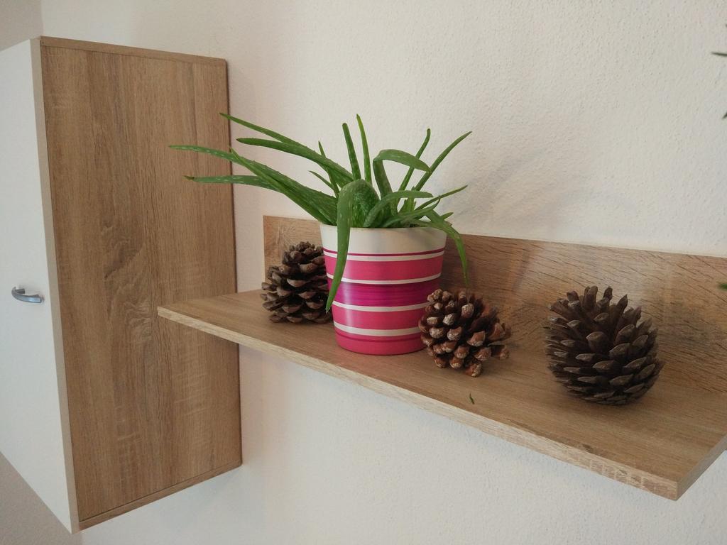 Apartment Tome Biograd Na Moru Dış mekan fotoğraf